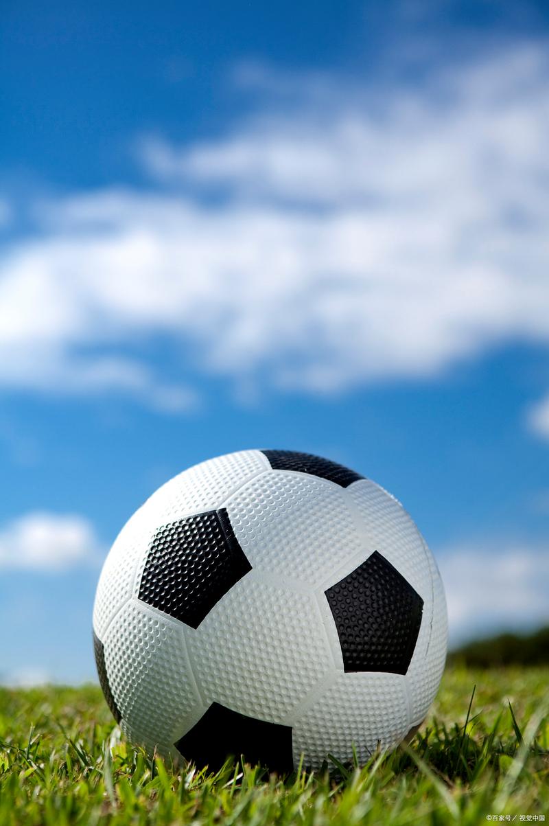 Contestant poisoned after eating toxic plant in Zhangjiajie survival challenge